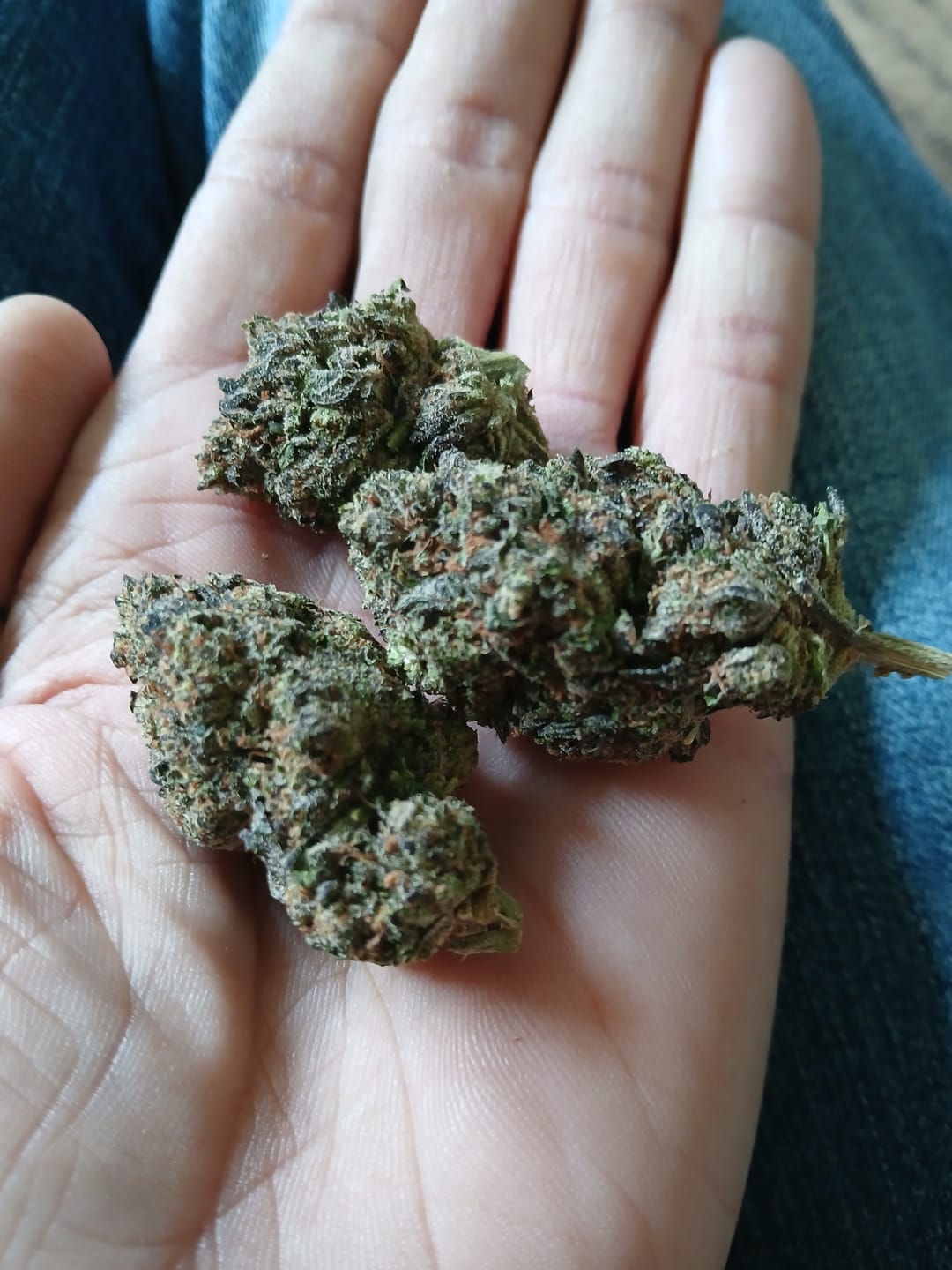 Customer photo review of Cherry Warheads - Bulk - Hybrid