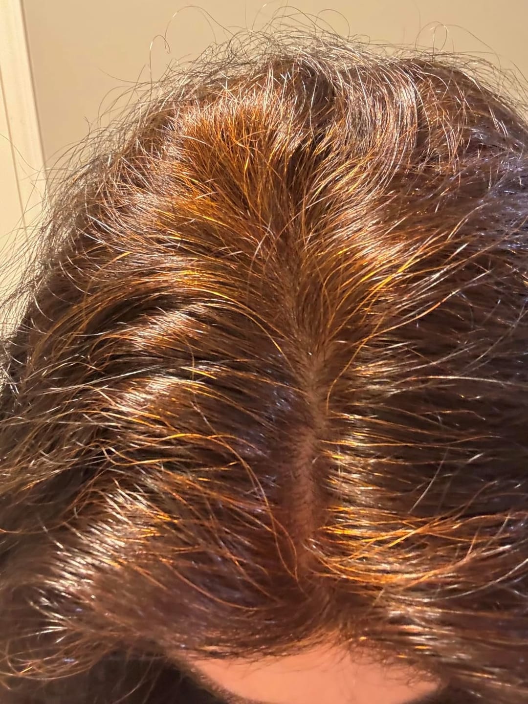 Customer photo review of Nutri Glow Organic Indigo Powder