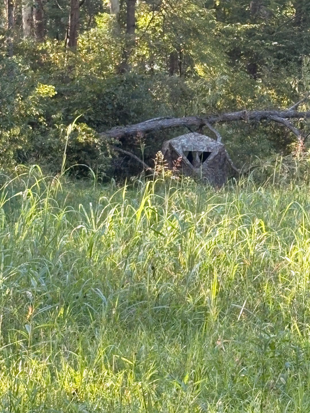 Customer photo review of Rhino 100 Realtree Edge 5-Hub Hunting Blind