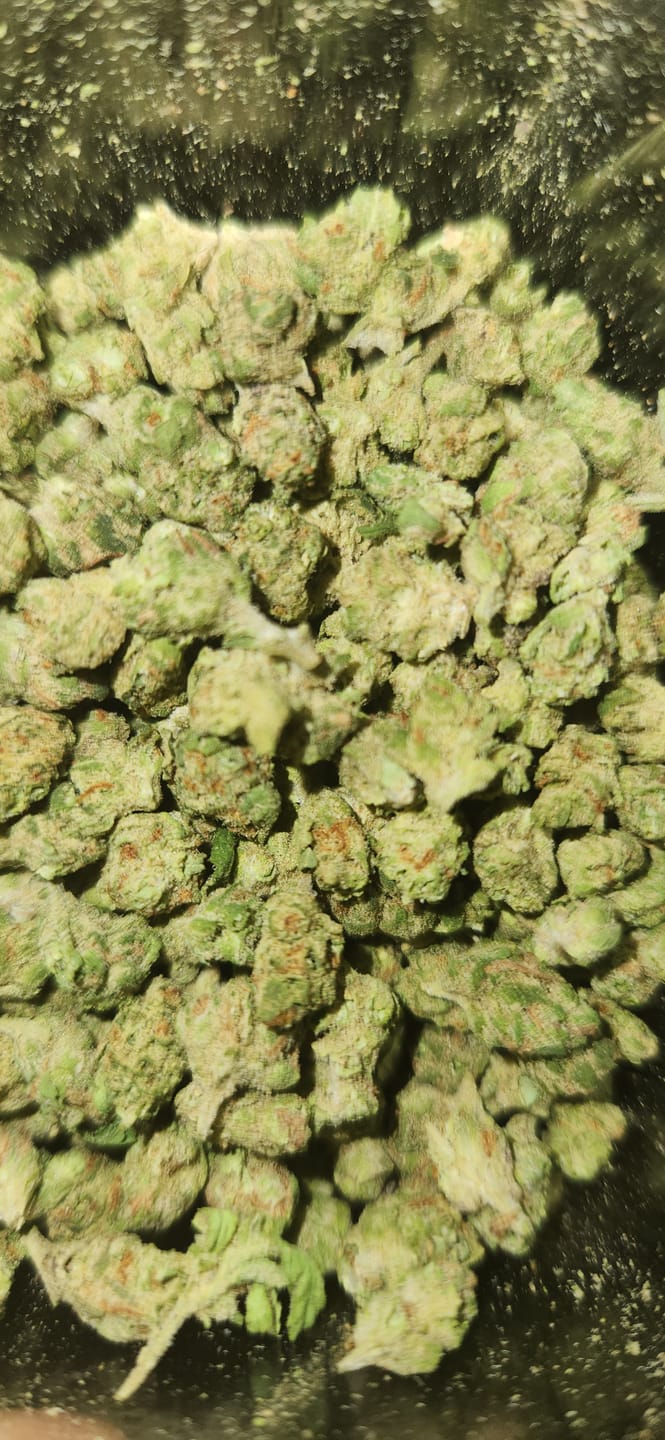 Customer photo review of 1 Oz Cheap THCA Small Buds