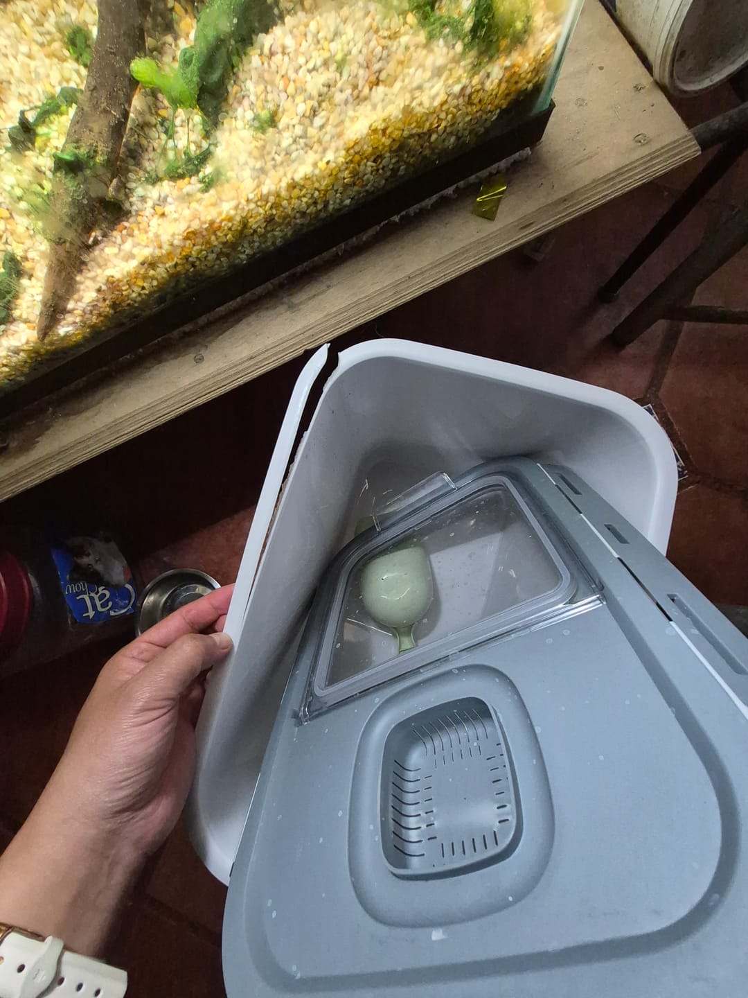 Customer photo review of CT3034 1 Pieza De Contenedor Hermético Multiusos 5kg - 7kg Con Cuchara Y Tapa Transparente Para Granos Secos y Alimento Para Mascotas
