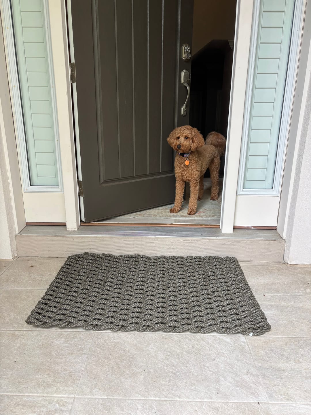 Customer photo review of Mushroom Doormat