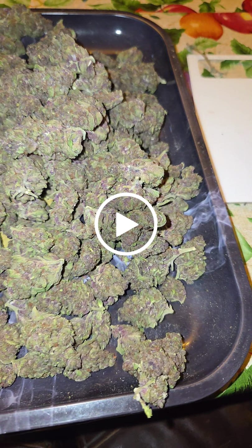 Customer video review of Tropicana Cherry THCA Flower