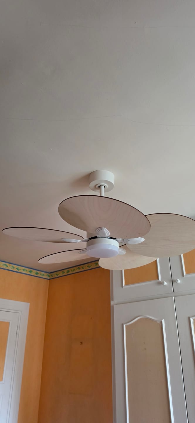 Customer photo review of Lotus | Ventilateur de plafond