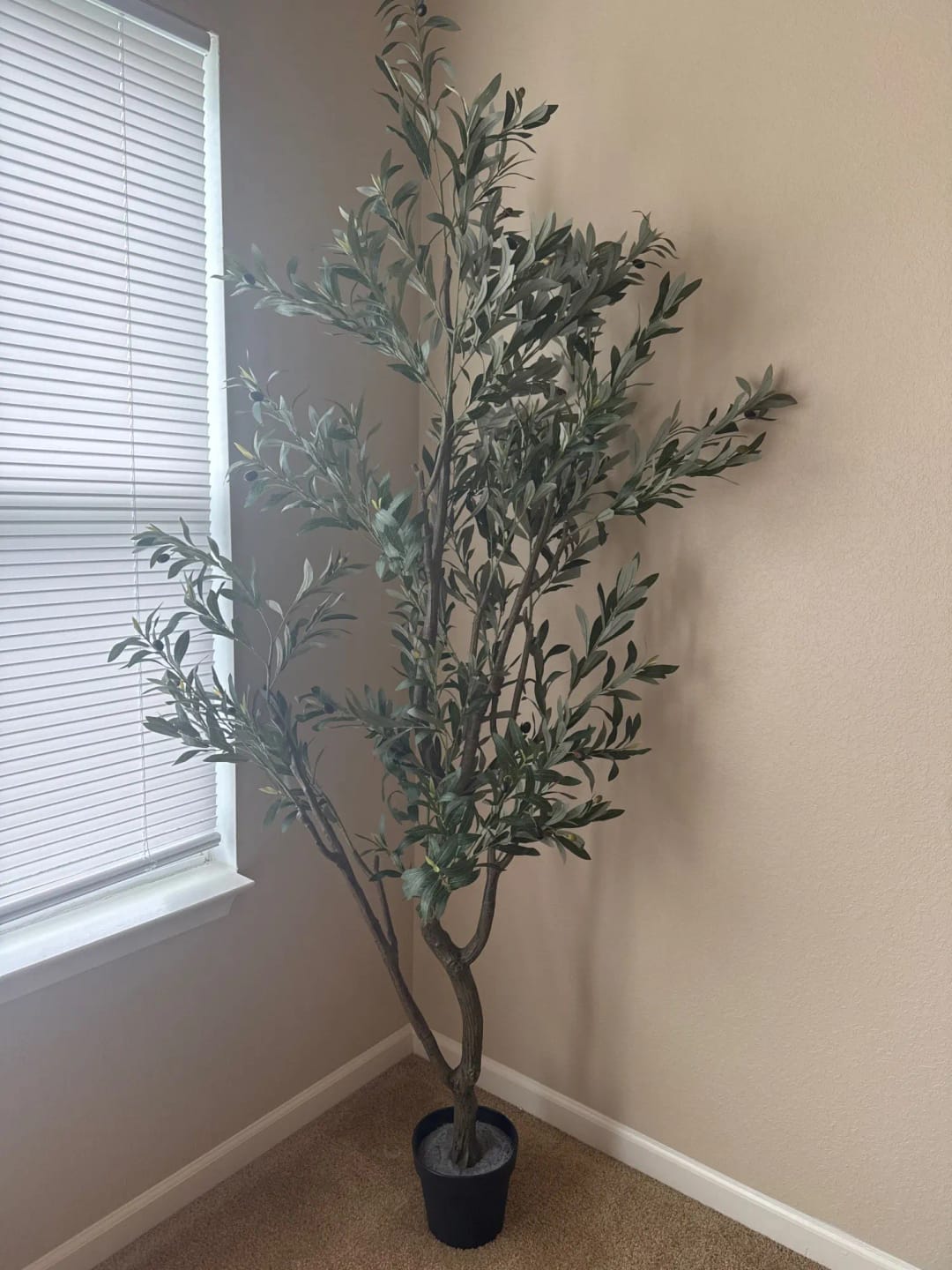 Customer photo review of Olive Trees Artificial Indoor Tall Faux Tree