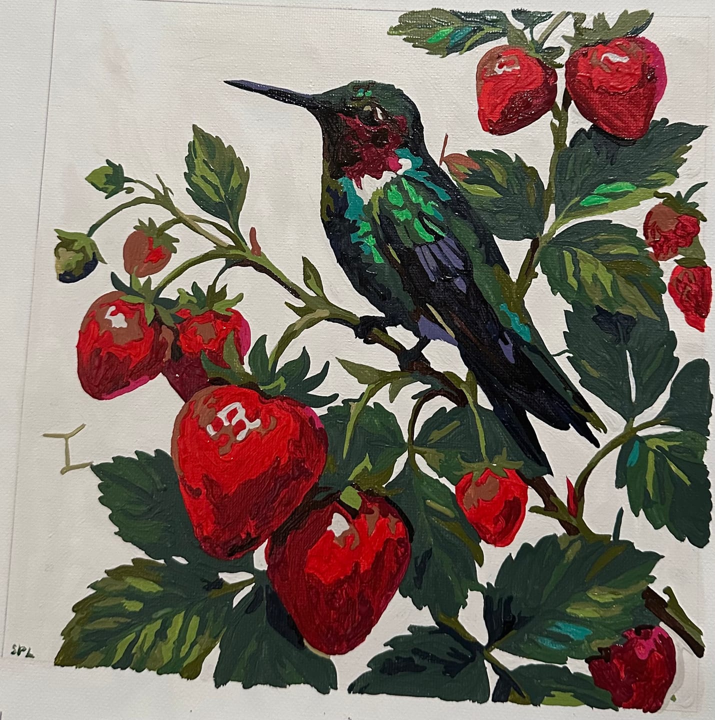Customer photo review of Strawberry Hummingbird Perch (Paint by Numbers)