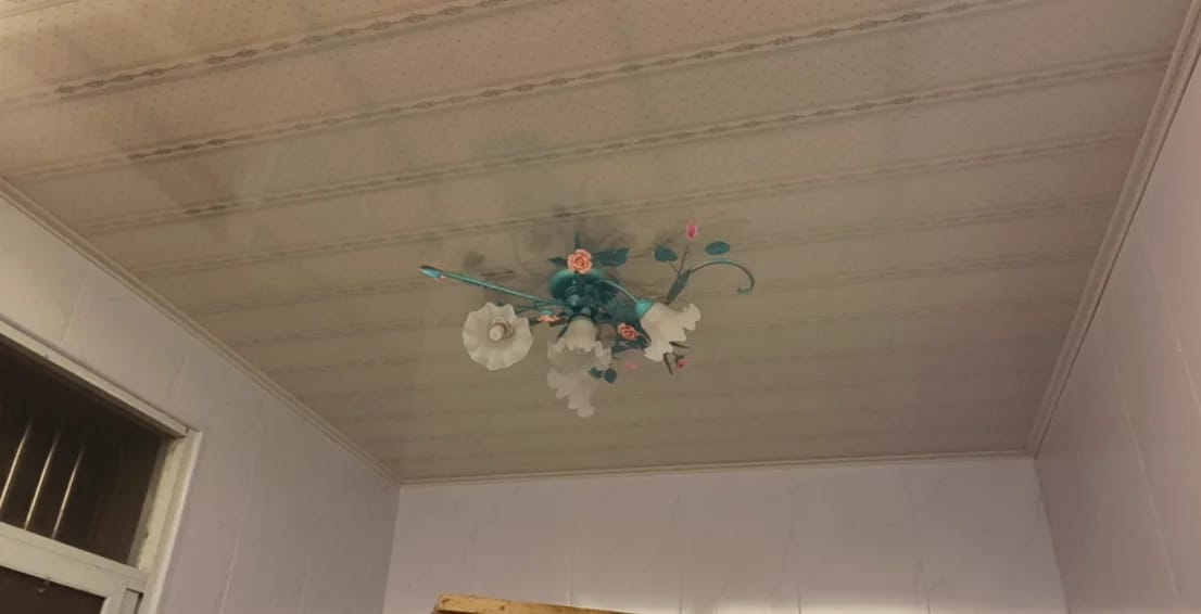 Customer photo review of Glass Rose Ceiling Lamp