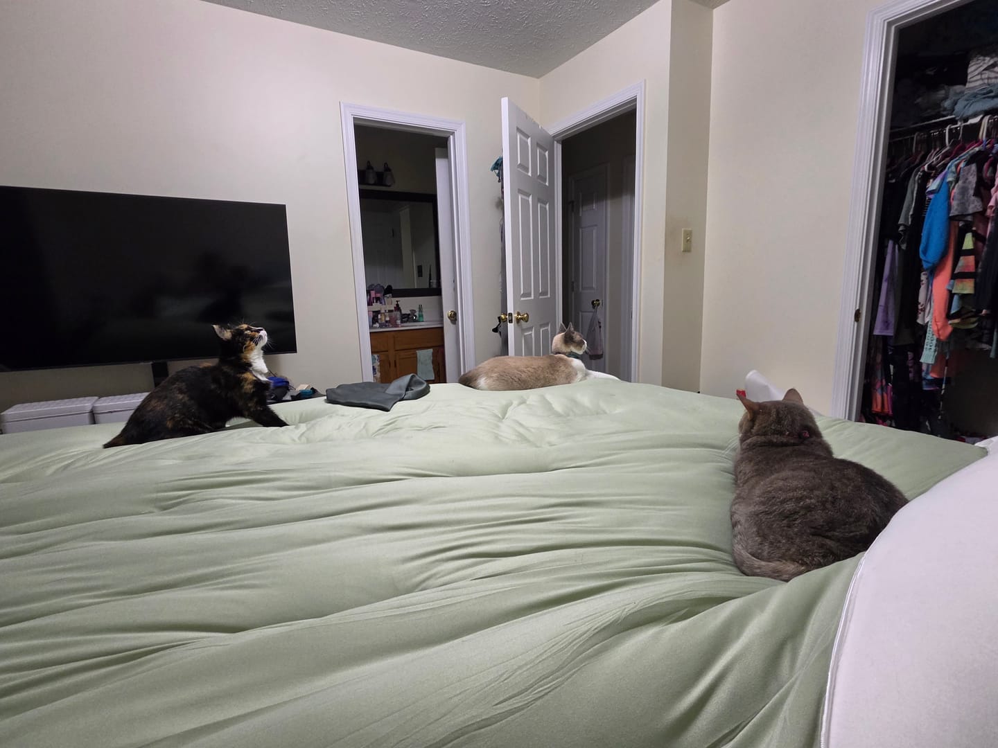 Customer photo review of MarshMellow Comforter