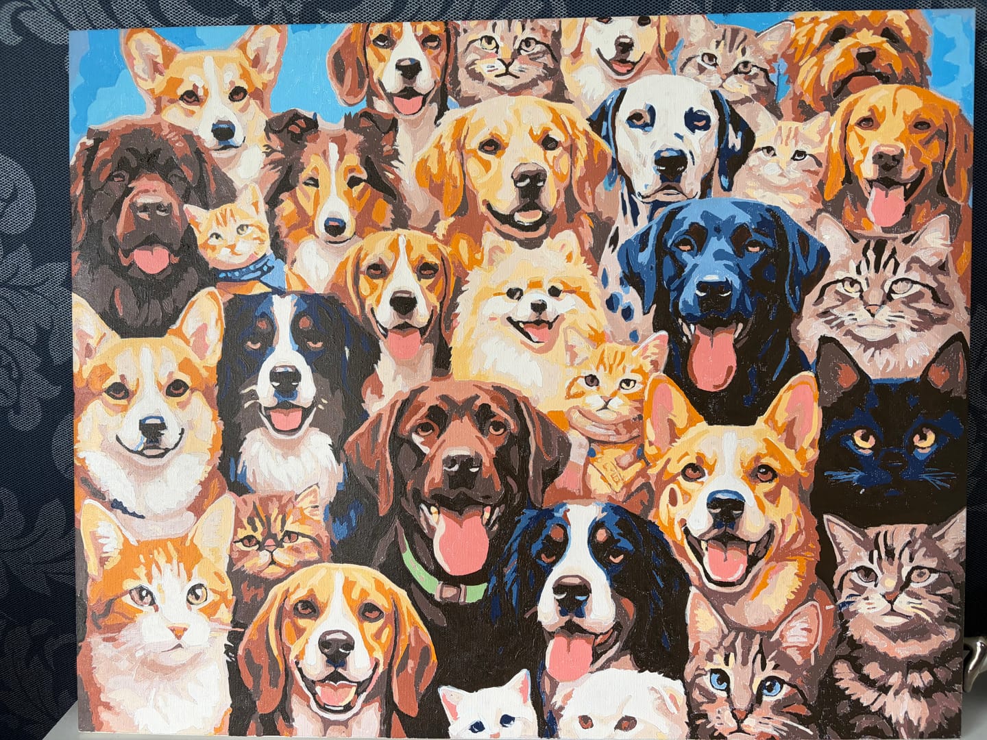 Customer photo review of Pet Chat