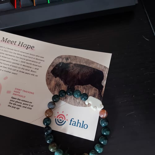 Customer's Mystery Bracelet with a dark green bead strand and bison charm resting on an informational card.