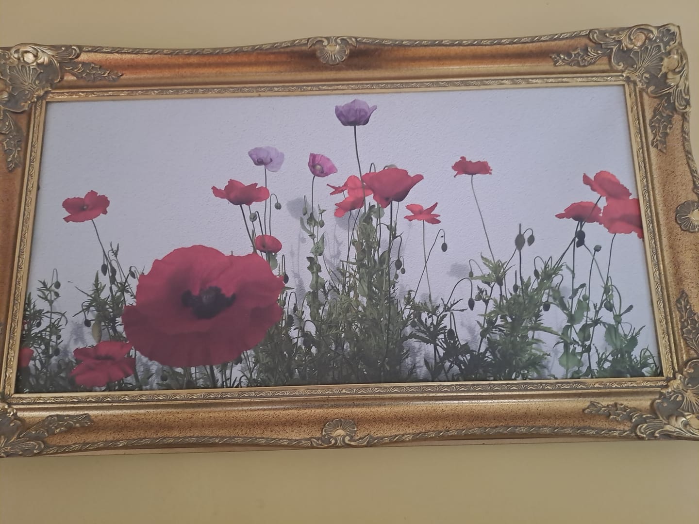 Customer photo review of Leinwand ohne Rahmen