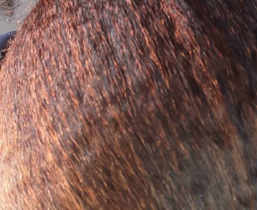 Customer photo review of Nutri Glow Organic Henna Powder