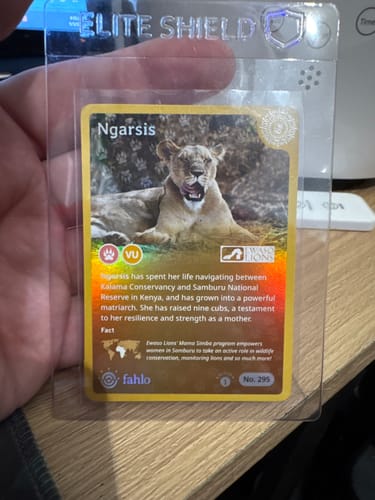 Customer's Limited Lion Tracking Card inside a protective plastic sleeve, showing a lioness named Ngarsis.