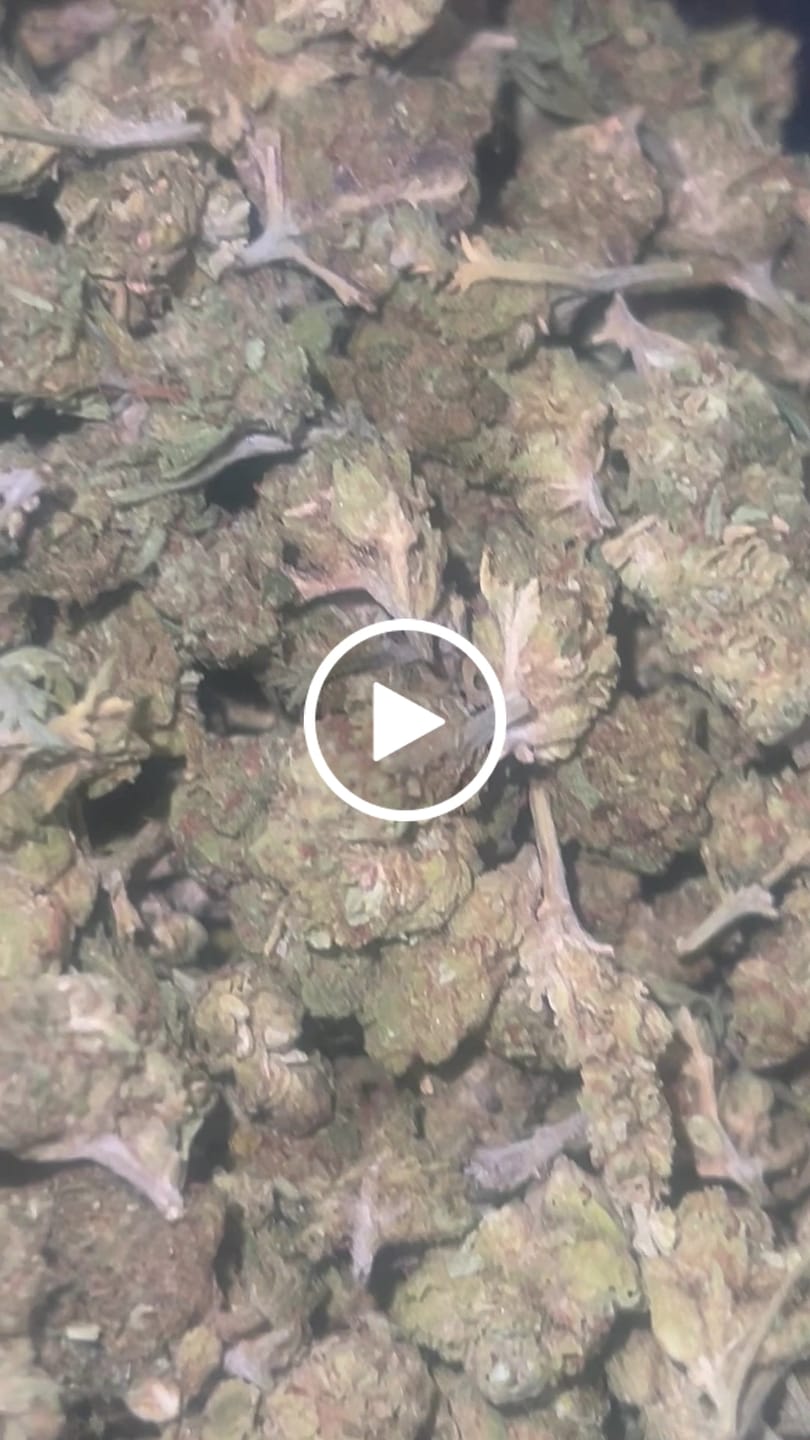 Customer video review of Cheap THCA Smalls Pound