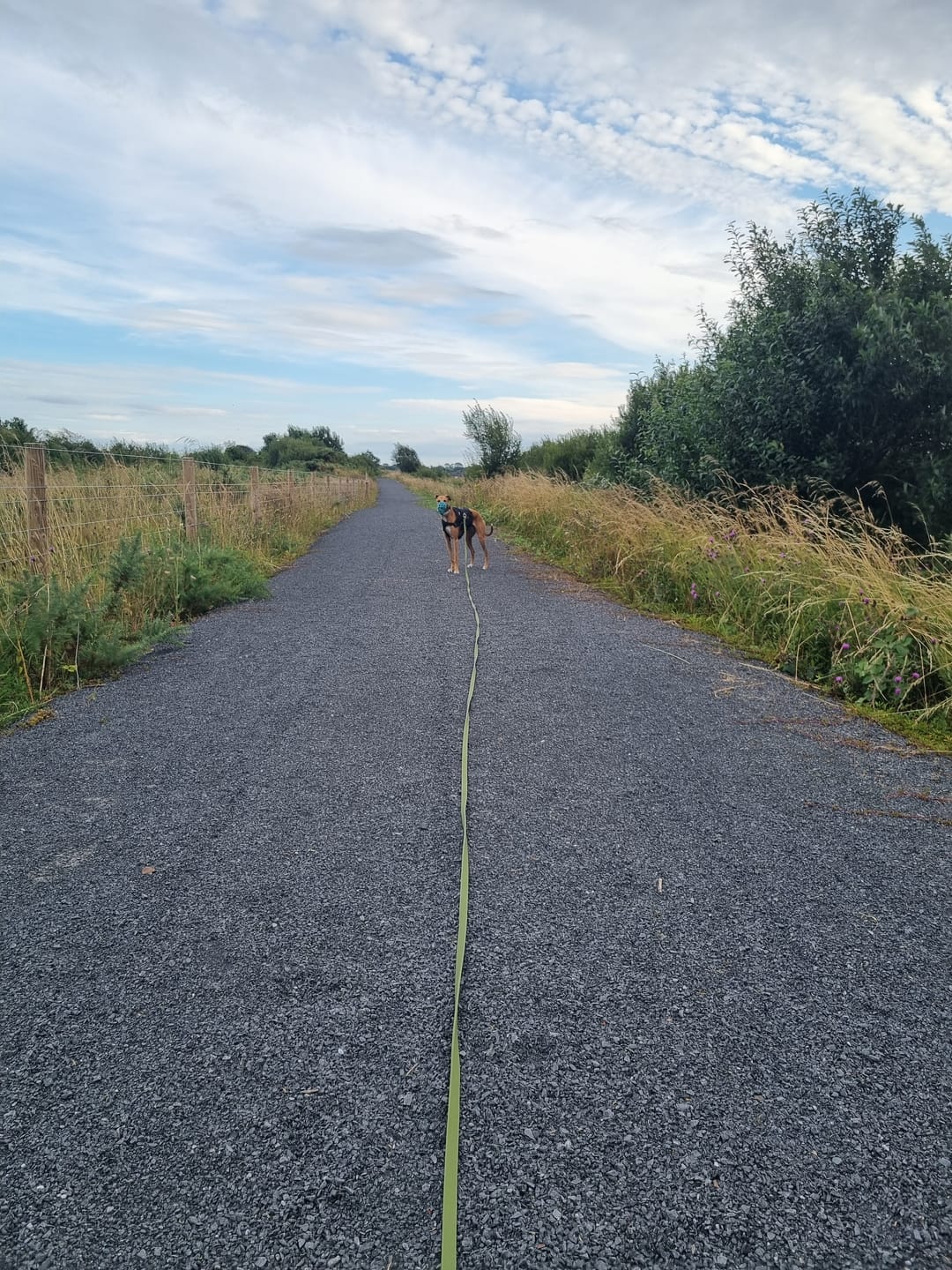 Customer photo review of 10m Recall Billowthane® Leash | Waterproof - Matte Khaki