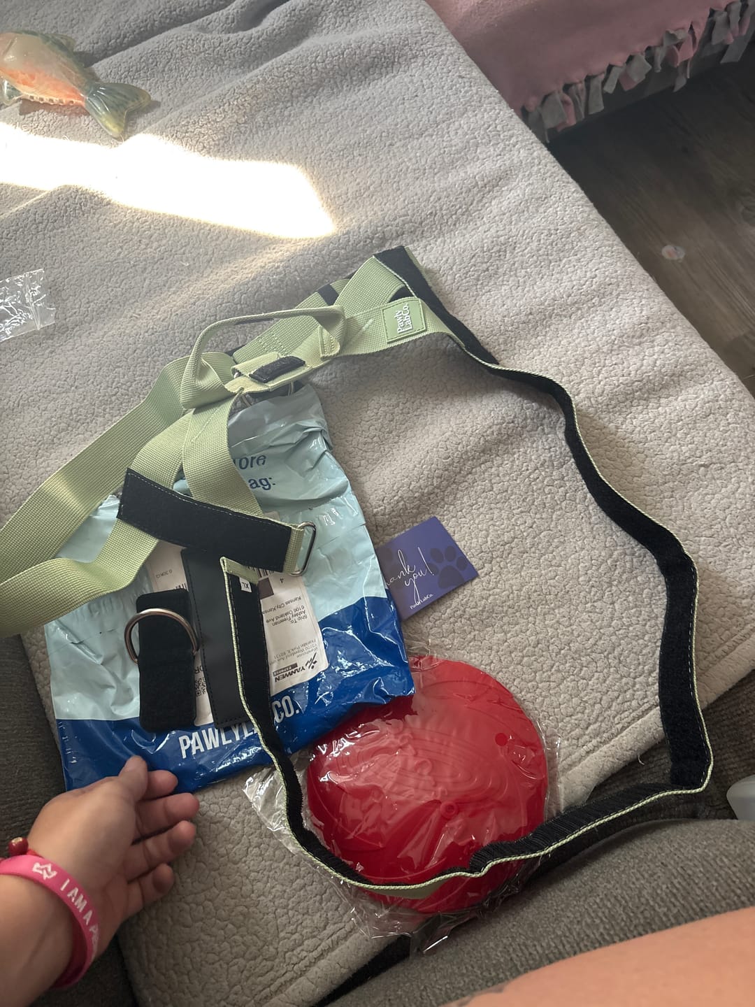 Customer photo review of No-Pull Harness [Free Today]