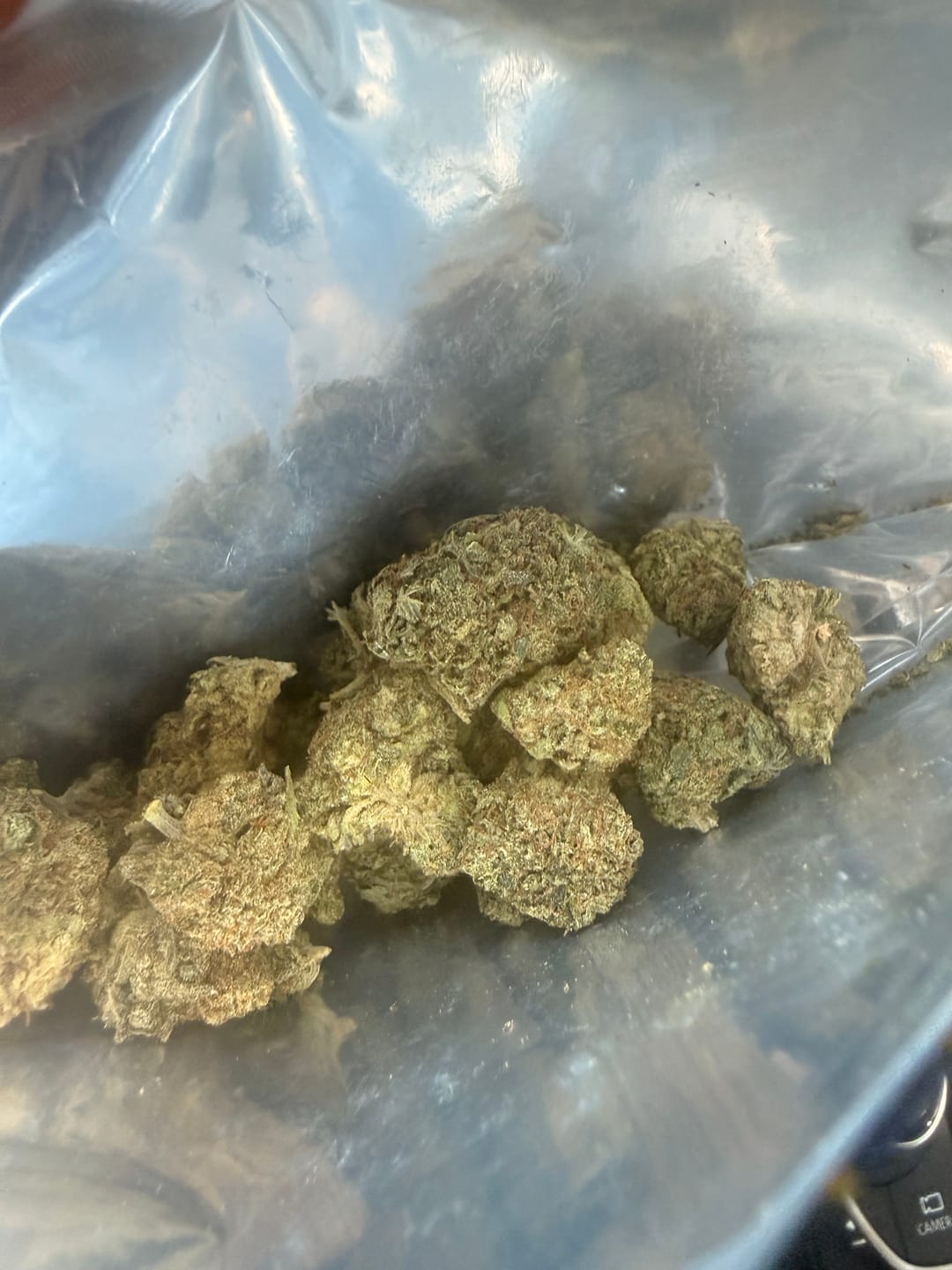 Customer photo review of Acapulco Gold THCA Flower