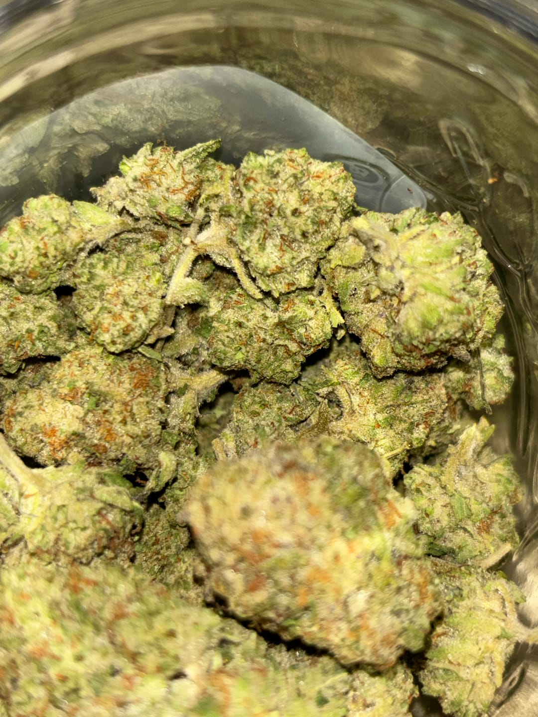 Customer photo review of Kinglato THCA Flower