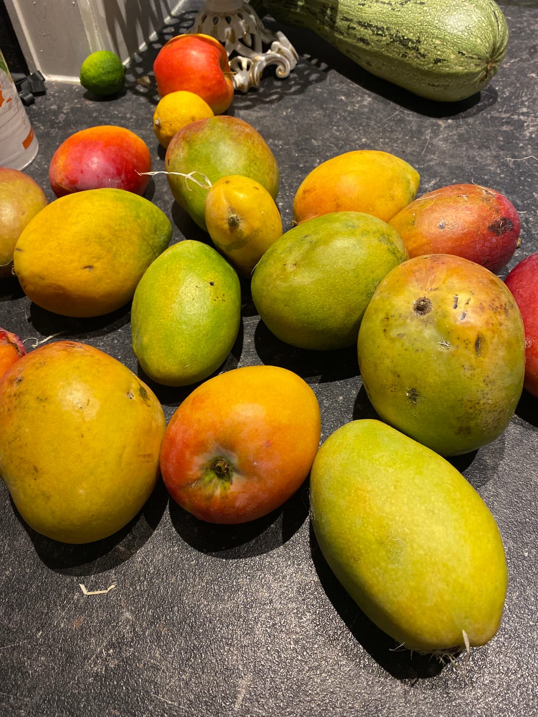 Customer photo review of Baby-Mango Mix "Wild Wonders" von Julian