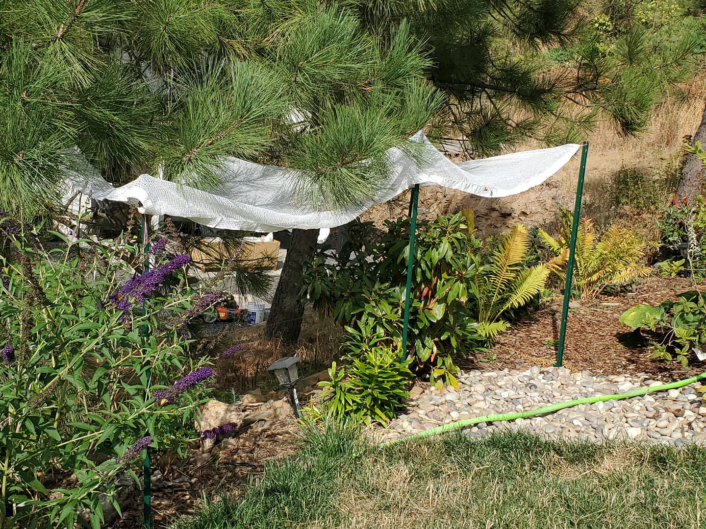Customer photo review of 40% Shade Cloth