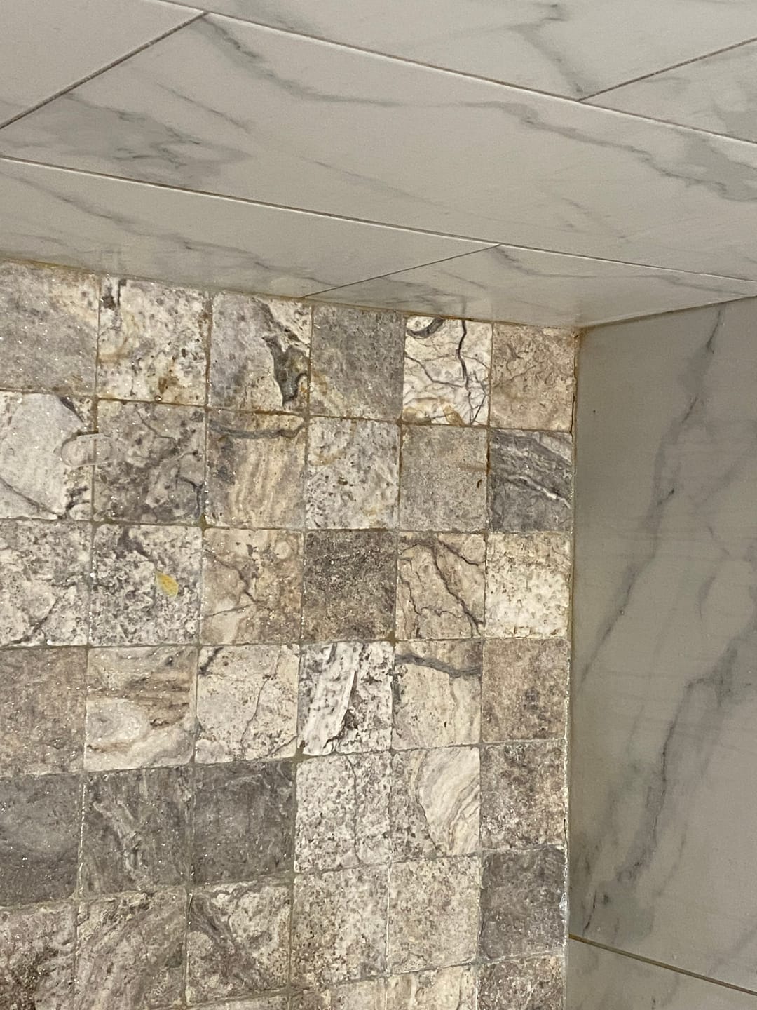 Customer photo review of Shower Starter Bundle