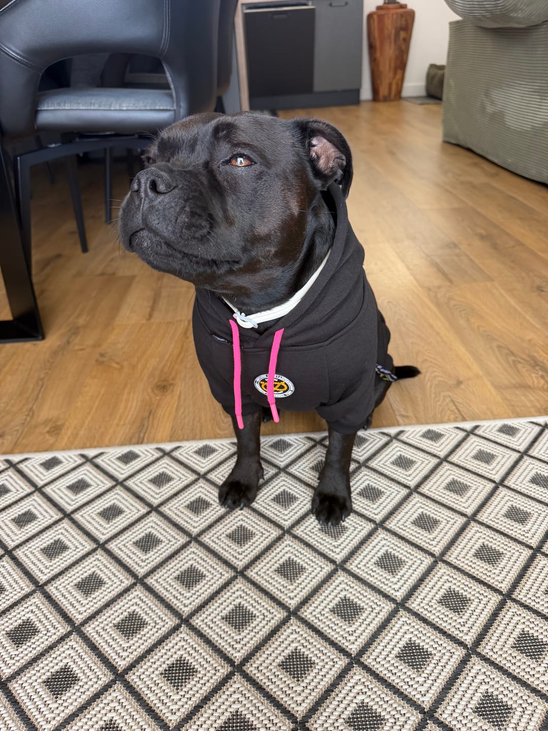 Customer photo review of Staffordshire Bull Terrier 1935® Hoodies - Black