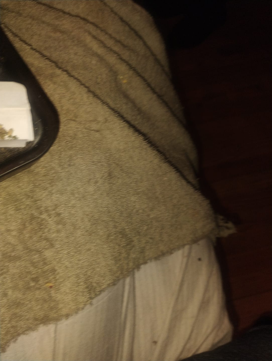 Customer photo review of Zoapz - Bulk - Indica