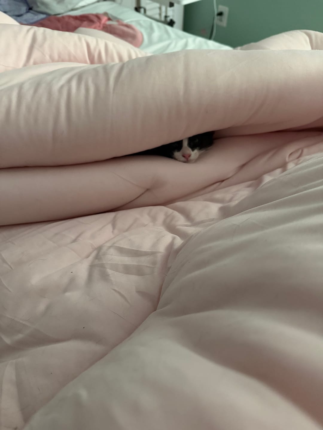 Customer photo review of MarshMellow Comforter
