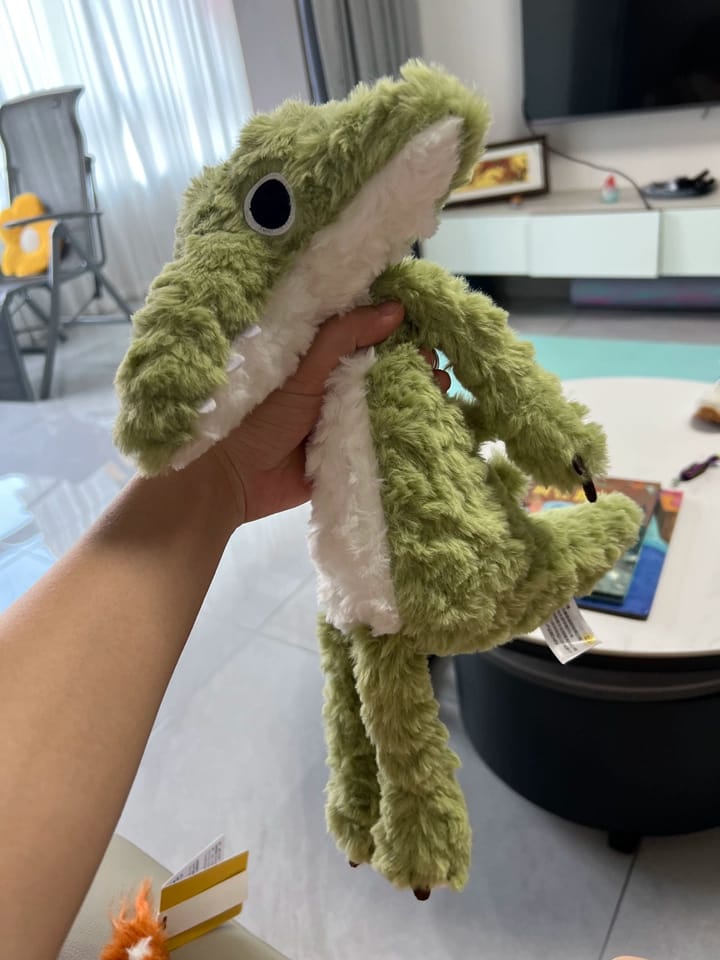 Customer photo review of Cordy Crocodile