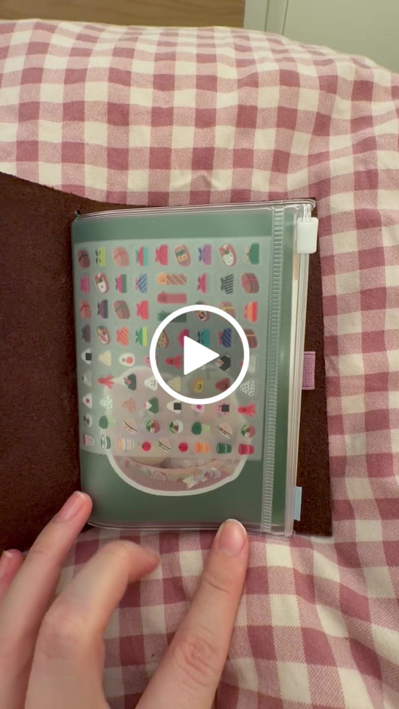 Customer video review of Traveler's Company 004. Zipper Case, Passport Size