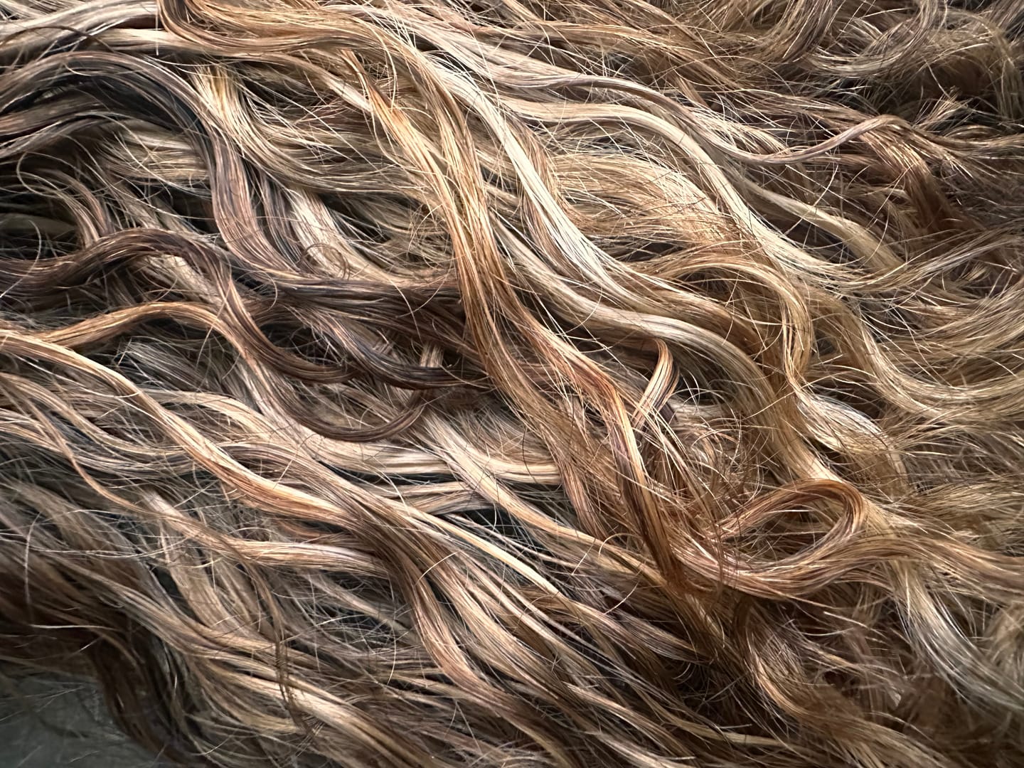 Customer photo review of Indian Curly Bundle