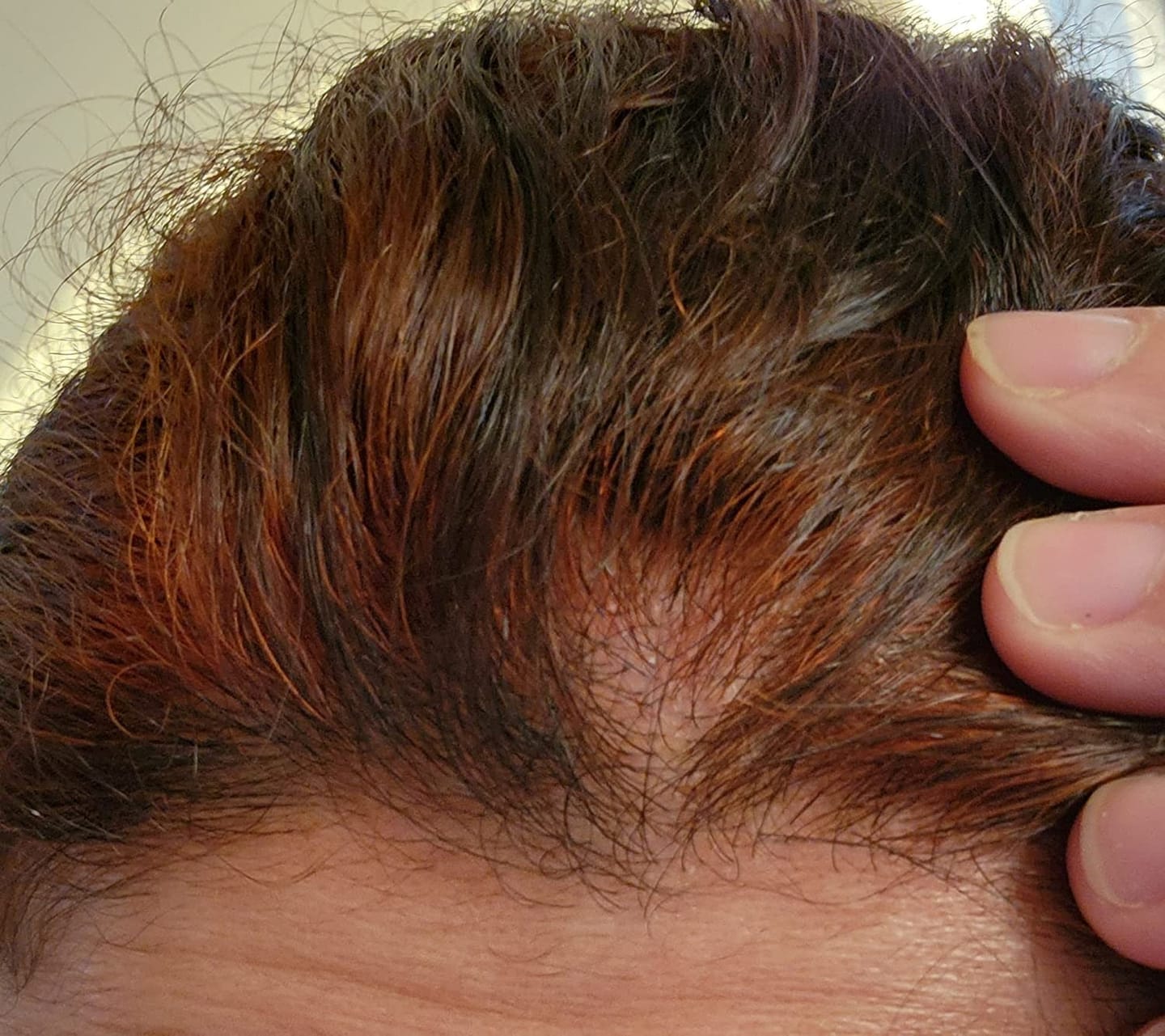 Customer photo review of Nutri Glow Organic Indigo Powder