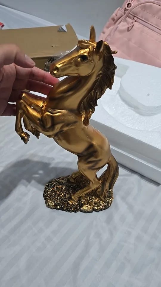 Customer photo review of Victory Horse Resin Statue