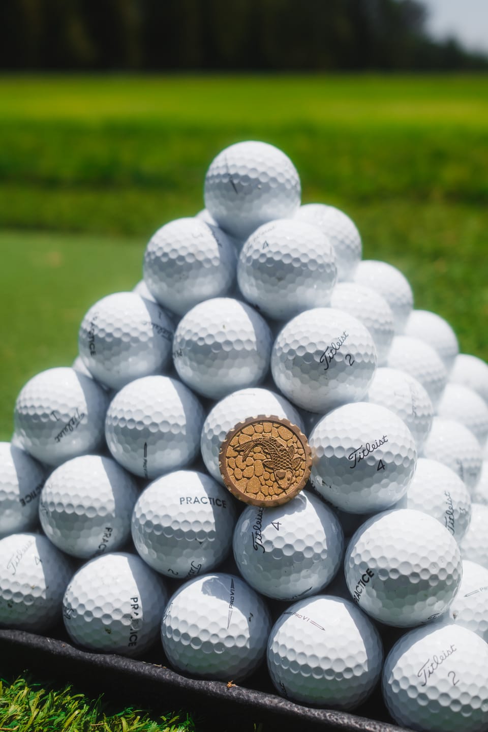Customer photo review of Koi 2.0 Brass Ball Marker