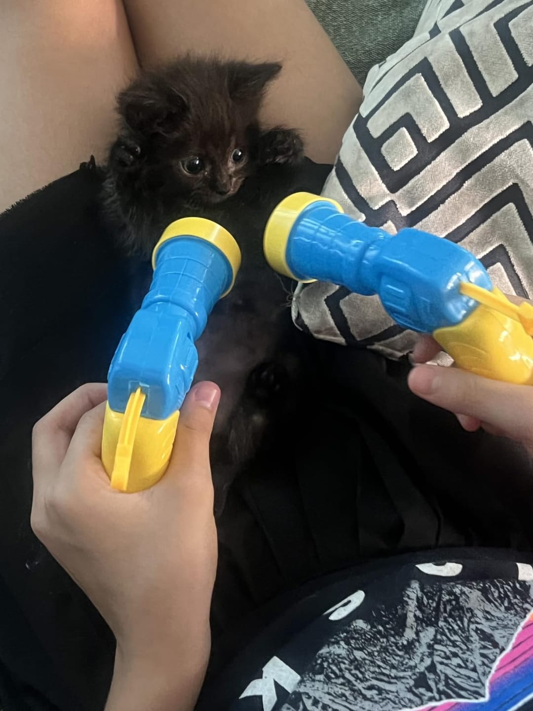 Customer photo review of Calming Puff Launcher (100 x soft fuzzy puff balls)