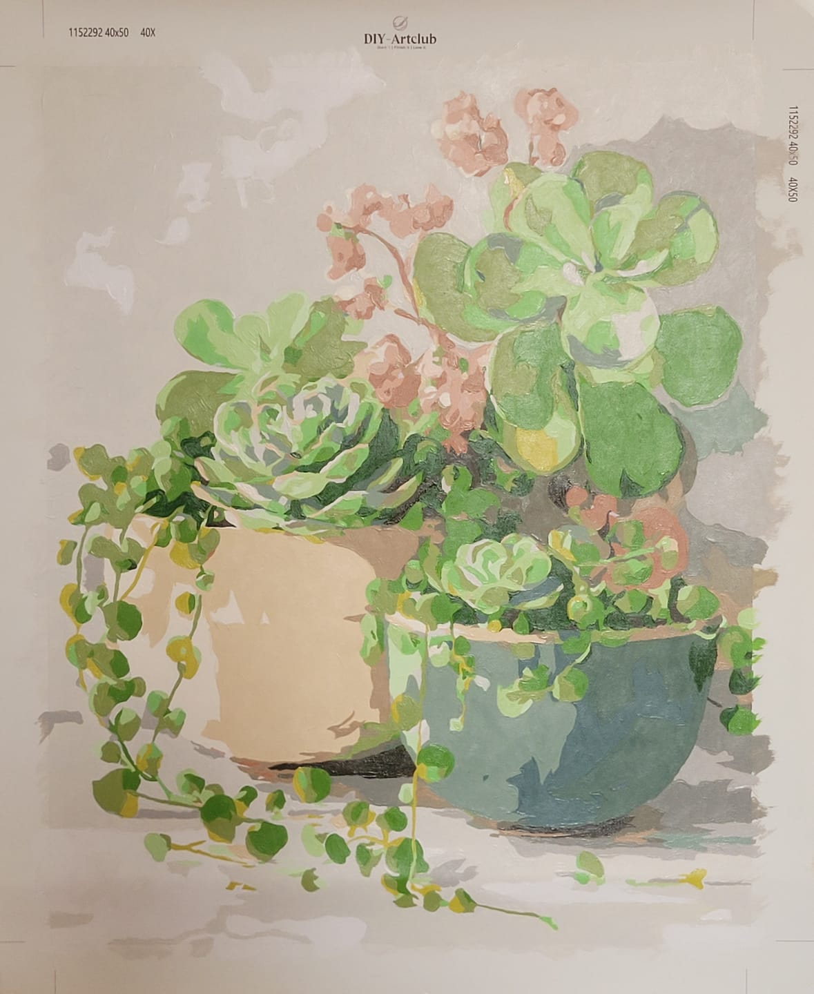Customer photo review of Spring Succulents | Paint by Number