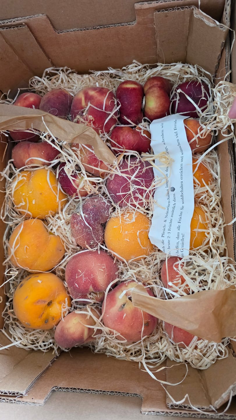 Customer photo review of Pfirsich-Mix Bio von Nicolas 3kg Box