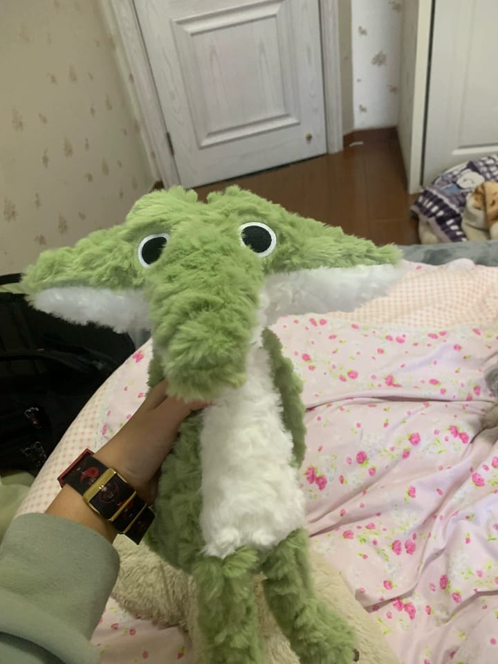 Customer photo review of Cordy Crocodile