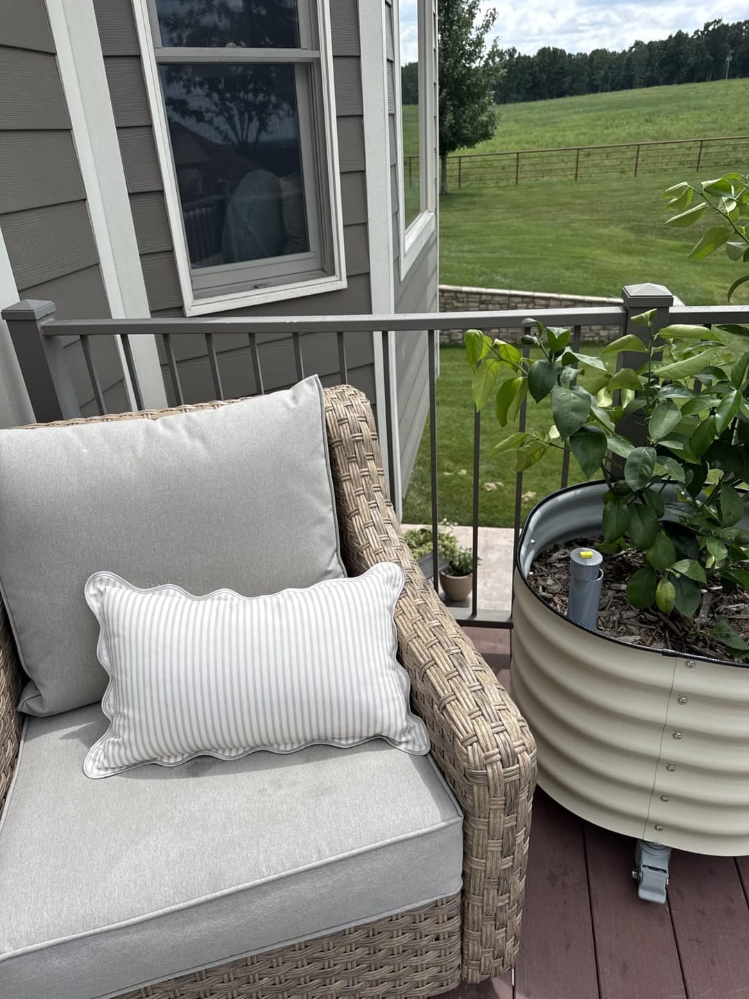 Customer photo review of Coastal Indoor Outdoor Scalloped Lumbar Pillow Cover Only, Stripes, Neutral Tan, 12"x20"