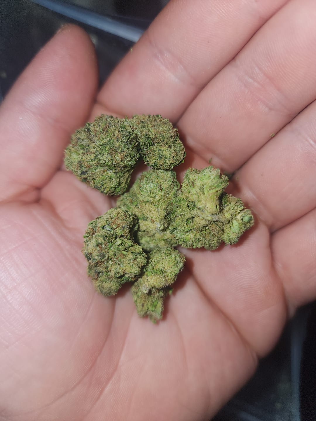 Customer photo review of Dank Blueberry Cruffin THCA Flower