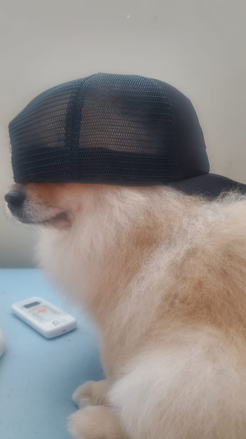 Customer photo review of XL Foam Trucker Snapback - Black