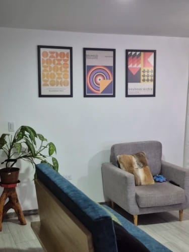 Customer photo review of Bauhaus Geometric Poster