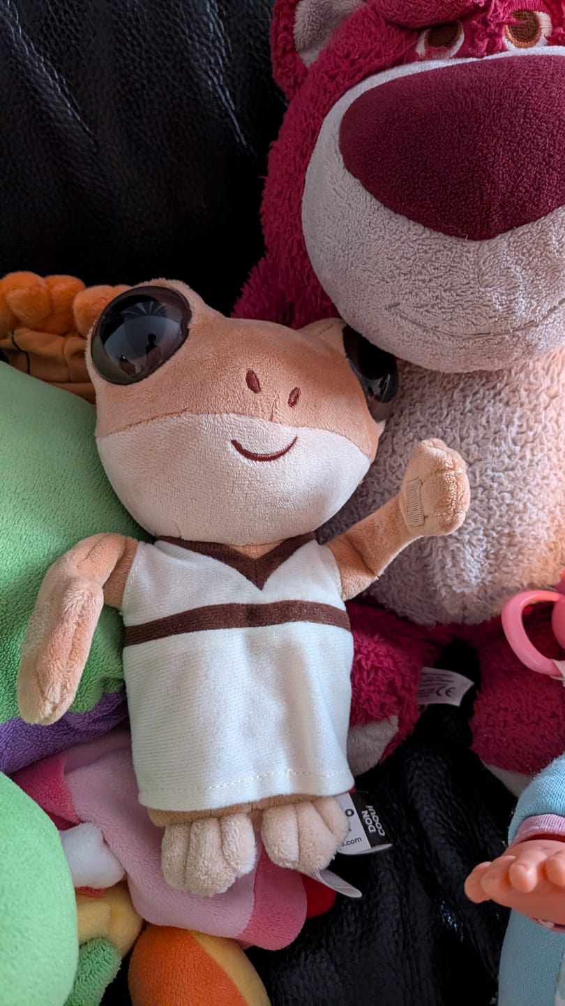 Customer photo review of Don Coquí | Peluche con Sonido