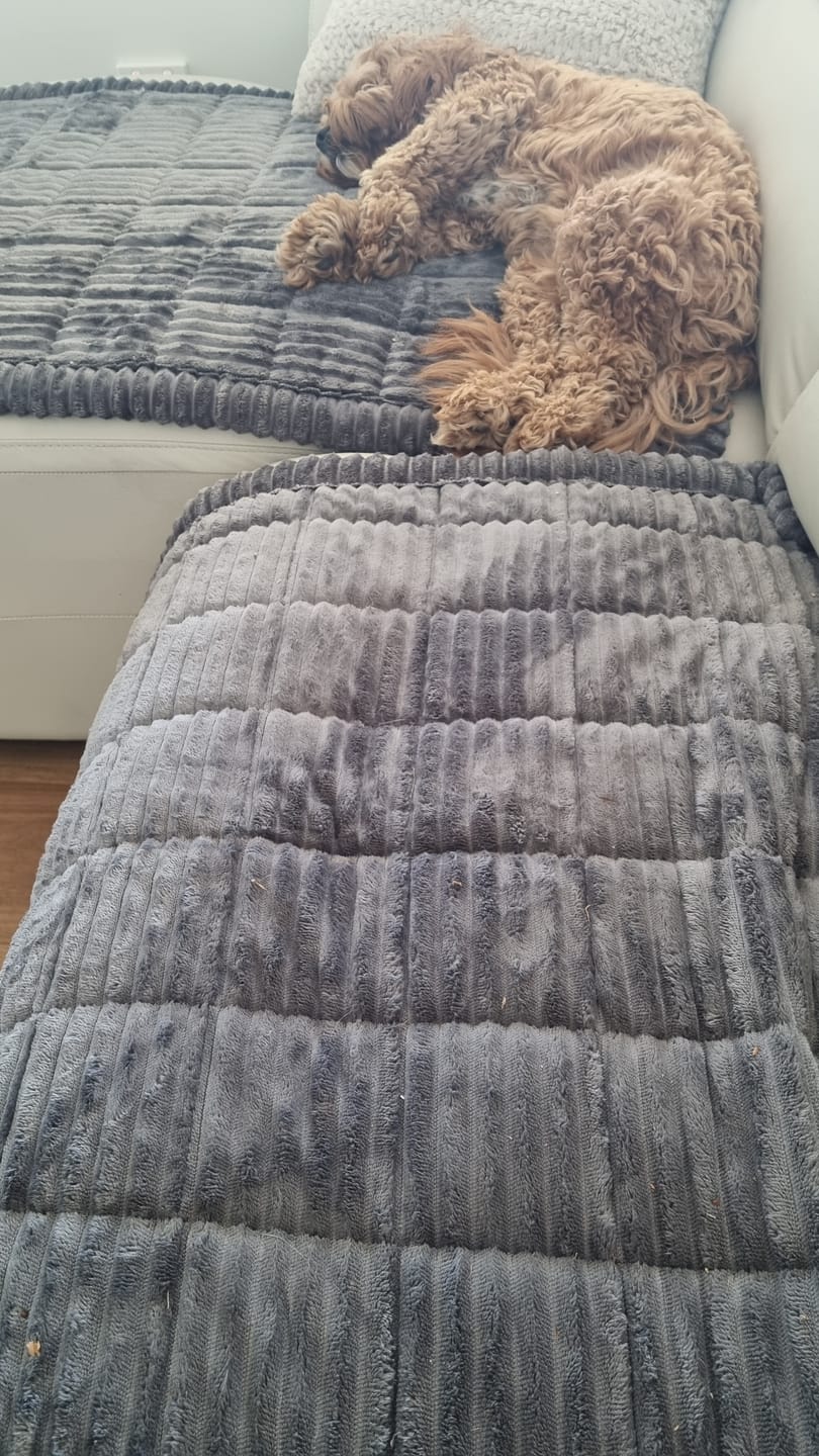 Customer photo review of Cosy Couch - Couch Cover