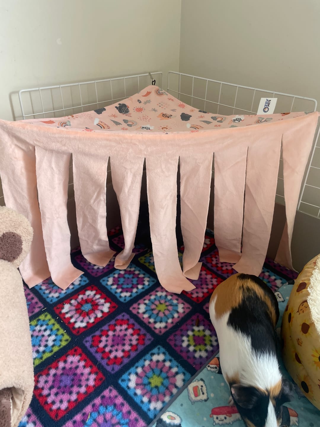 Customer photo review of Ozzy Pets Corner Tent Curtain – Hanging Hideout for Guinea Pigs & Rabbits
