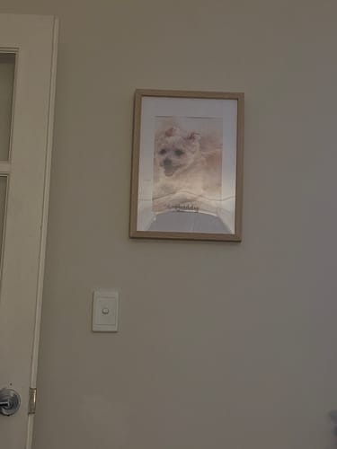 Customer photo review of Personalised Poster - Watercolour Realistic Portrait