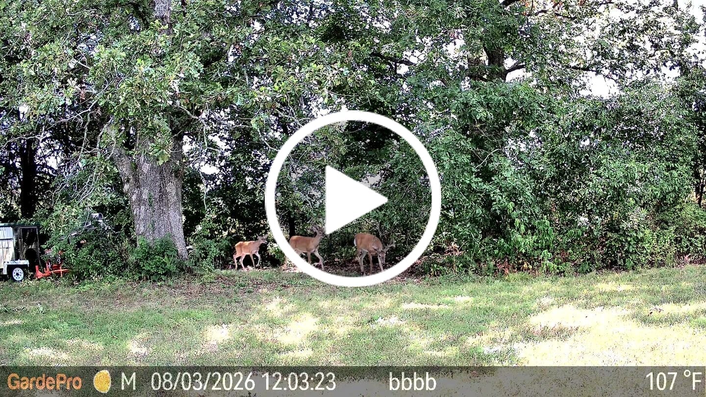Customer video review of GardePro Link 1.0 3000ft(1km) Long-Range Wireless Trail Camera