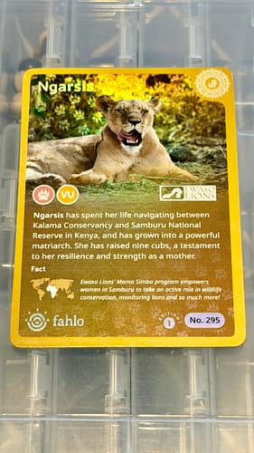 Reviewer's Limited Lion Tracking Card for Ngarsis, a yellow collectible card showing a lioness resting.