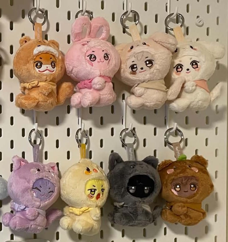 Customer photo review of ATEEZ - ANITEEZ IN COLOR POP UP OFFICIAL MD ANITEEZ X TINY PLUSH KEYRING