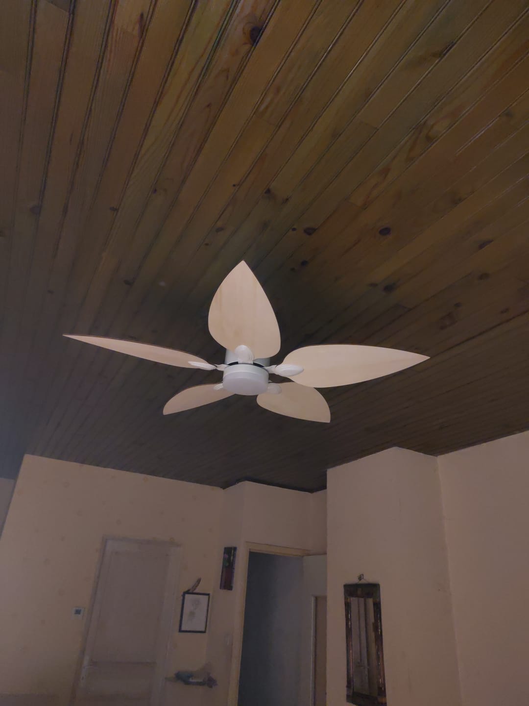 Customer photo review of Virevole | Ventilateur de plafond